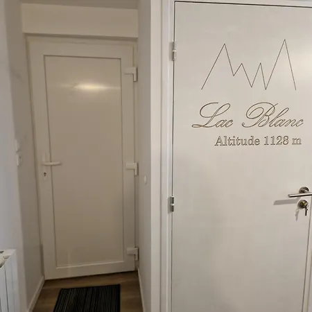 Appartement Au Pied Des Pistes Avec Grande Terrasse Orbey Exterior photo