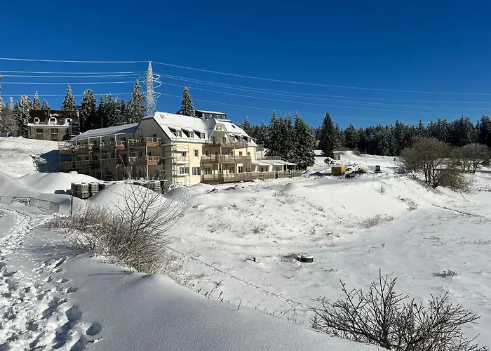 Appartement Au Pied Des Pistes Avec Grande Terrasse