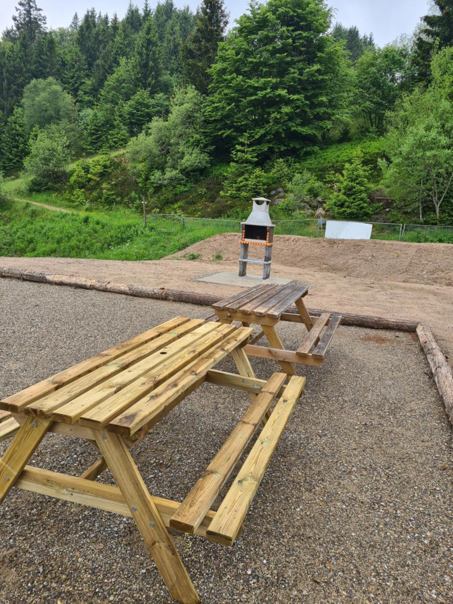 Au Pied Des Pistes Avec Grande Terrasse *